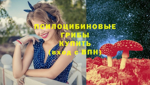 гидропоника Алексин